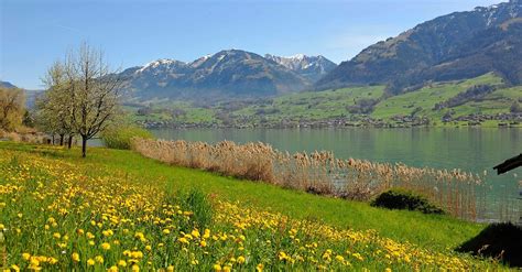 wandern sarnen|Rundwanderung um den Sarnersee • Wanderung »。